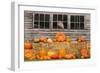 USA, Vermont, Stowe, West Hill Rd, pumpkin field-Alison Jones-Framed Photographic Print