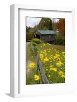 USA, Vermont, Waterville. Church Street Covered Bridge in Fall-Bill Bachmann-Framed Photographic Print