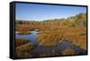 USA, Virginia, Alexandria, Huntley Meadows Park and fall color-Hollice Looney-Framed Stretched Canvas