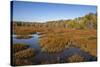 USA, Virginia, Alexandria, Huntley Meadows Park and fall color-Hollice Looney-Stretched Canvas