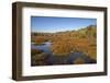 USA, Virginia, Alexandria, Huntley Meadows Park and fall color-Hollice Looney-Framed Photographic Print