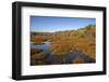 USA, Virginia, Alexandria, Huntley Meadows Park and fall color-Hollice Looney-Framed Photographic Print