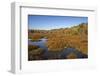 USA, Virginia, Alexandria, Huntley Meadows Park and fall color-Hollice Looney-Framed Photographic Print