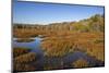 USA, Virginia, Alexandria, Huntley Meadows Park and fall color-Hollice Looney-Mounted Photographic Print