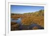 USA, Virginia, Alexandria, Huntley Meadows Park and fall color-Hollice Looney-Framed Photographic Print