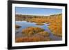 USA, Virginia, Alexandria, Huntley Meadows Park and fall color-Hollice Looney-Framed Photographic Print