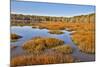 USA, Virginia, Alexandria, Huntley Meadows Park and fall color-Hollice Looney-Mounted Photographic Print