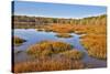 USA, Virginia, Alexandria, Huntley Meadows Park and fall color-Hollice Looney-Stretched Canvas