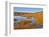 USA, Virginia, Alexandria, Huntley Meadows Park and fall color-Hollice Looney-Framed Photographic Print