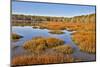 USA, Virginia, Alexandria, Huntley Meadows Park and fall color-Hollice Looney-Mounted Photographic Print