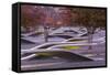 USA, Virginia, Arlington the Pentagon, Pentagon 911 Memorial, Dawn-Walter Bibikow-Framed Stretched Canvas