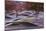 USA, Virginia, Arlington the Pentagon, Pentagon 911 Memorial, Dawn-Walter Bibikow-Mounted Photographic Print