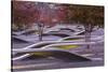 USA, Virginia, Arlington the Pentagon, Pentagon 911 Memorial, Dawn-Walter Bibikow-Stretched Canvas