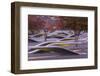 USA, Virginia, Arlington the Pentagon, Pentagon 911 Memorial, Dawn-Walter Bibikow-Framed Photographic Print