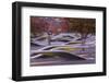 USA, Virginia, Arlington the Pentagon, Pentagon 911 Memorial, Dawn-Walter Bibikow-Framed Photographic Print