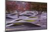 USA, Virginia, Arlington the Pentagon, Pentagon 911 Memorial, Dawn-Walter Bibikow-Mounted Photographic Print