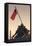 USA, Virginia, Arlington, Us Marine and Iwo Jima Memorial, Dawn-Walter Bibikow-Framed Stretched Canvas