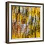 USA, Virginia, Blue Ridge Parkway. Abstract autumn reflections in Rakes Mill Pond-Ann Collins-Framed Photographic Print