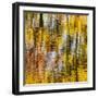 USA, Virginia, Blue Ridge Parkway. Abstract autumn reflections in Rakes Mill Pond-Ann Collins-Framed Photographic Print