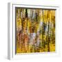 USA, Virginia, Blue Ridge Parkway. Abstract autumn reflections in Rakes Mill Pond-Ann Collins-Framed Photographic Print