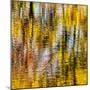 USA, Virginia, Blue Ridge Parkway. Abstract autumn reflections in Rakes Mill Pond-Ann Collins-Mounted Photographic Print