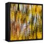 USA, Virginia, Blue Ridge Parkway. Abstract autumn reflections in Rakes Mill Pond-Ann Collins-Framed Stretched Canvas