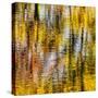 USA, Virginia, Blue Ridge Parkway. Abstract autumn reflections in Rakes Mill Pond-Ann Collins-Stretched Canvas