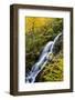 USA, Virginia, Blue Ridge Parkway. George Washington National Forest, Autumn color at Crabtree Fall-Ann Collins-Framed Photographic Print