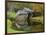 USA, Virginia, Mabry Mill. Composite of Mill and Pond-Don Paulson-Framed Photographic Print