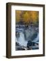 USA, Virginia, Mclean. Stream in Great Falls State Park-Jay O'brien-Framed Photographic Print