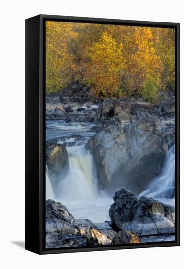 USA, Virginia, Mclean. Stream in Great Falls State Park-Jay O'brien-Framed Stretched Canvas
