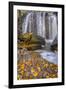 USA, Virginia, Mclean. Waterfall in Great Falls State Park-Jay O'brien-Framed Photographic Print