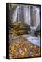 USA, Virginia, Mclean. Waterfall in Great Falls State Park-Jay O'brien-Framed Stretched Canvas