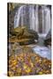 USA, Virginia, Mclean. Waterfall in Great Falls State Park-Jay O'brien-Stretched Canvas