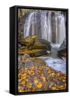 USA, Virginia, Mclean. Waterfall in Great Falls State Park-Jay O'brien-Framed Stretched Canvas