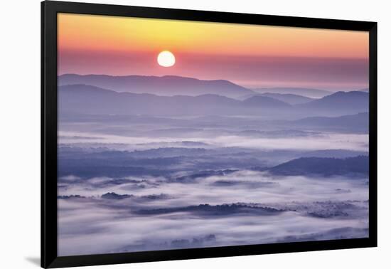 USA, Virginia, Rockfish Valley. Fog at sunrise along the Blue Ridge Parkway-Ann Collins-Framed Photographic Print