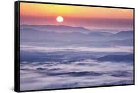 USA, Virginia, Rockfish Valley. Fog at sunrise along the Blue Ridge Parkway-Ann Collins-Framed Stretched Canvas