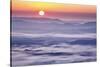 USA, Virginia, Rockfish Valley. Fog at sunrise along the Blue Ridge Parkway-Ann Collins-Stretched Canvas