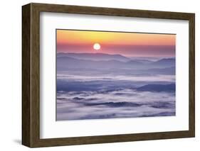 USA, Virginia, Rockfish Valley. Fog at sunrise along the Blue Ridge Parkway-Ann Collins-Framed Photographic Print