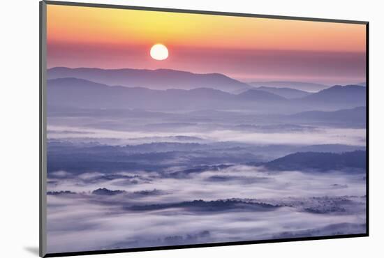 USA, Virginia, Rockfish Valley. Fog at sunrise along the Blue Ridge Parkway-Ann Collins-Mounted Photographic Print
