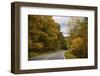 USA, Virginia, Shenandoah National Park, fall color along Skyline Drive-Hollice Looney-Framed Photographic Print