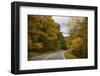 USA, Virginia, Shenandoah National Park, fall color along Skyline Drive-Hollice Looney-Framed Photographic Print