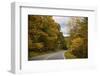 USA, Virginia, Shenandoah National Park, fall color along Skyline Drive-Hollice Looney-Framed Photographic Print