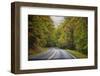 USA, Virginia, Shenandoah National Park, fall color along Skyline Drive-Hollice Looney-Framed Photographic Print