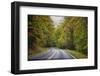 USA, Virginia, Shenandoah National Park, fall color along Skyline Drive-Hollice Looney-Framed Photographic Print