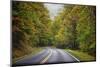 USA, Virginia, Shenandoah National Park, fall color along Skyline Drive-Hollice Looney-Mounted Photographic Print