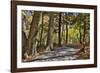 USA, Virginia, Shenandoah National Park, fall color in the park-Hollice Looney-Framed Photographic Print