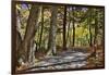 USA, Virginia, Shenandoah National Park, fall color in the park-Hollice Looney-Framed Photographic Print