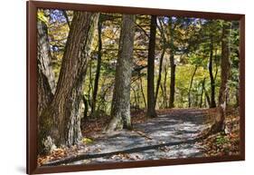 USA, Virginia, Shenandoah National Park, fall color in the park-Hollice Looney-Framed Photographic Print