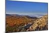 USA, Virginia, Shenandoah National Park, fall color in the park-Hollice Looney-Mounted Photographic Print